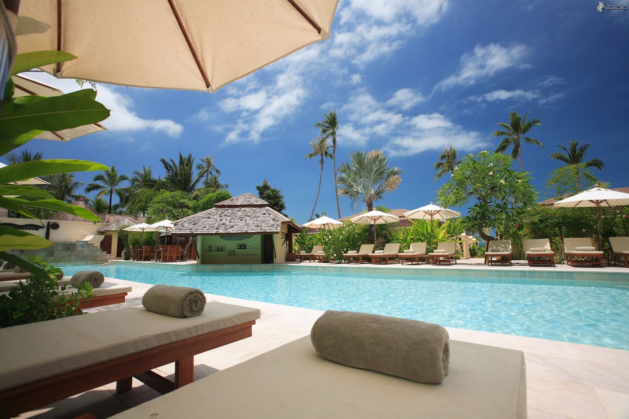 our-experience Experience ultimate relaxation at a sunlit tropical poolside resort featuring palm trees and blue skies.
